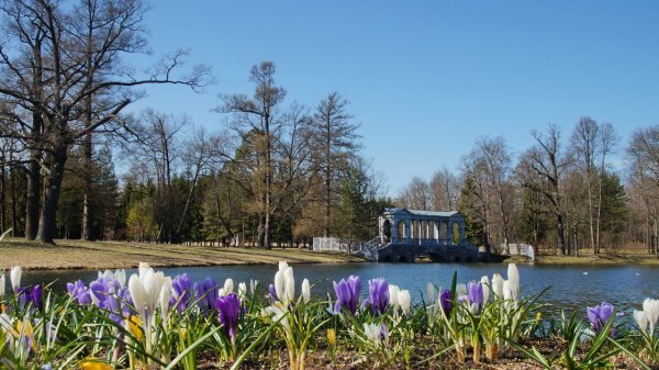 Екатерининский парк Царское село весной