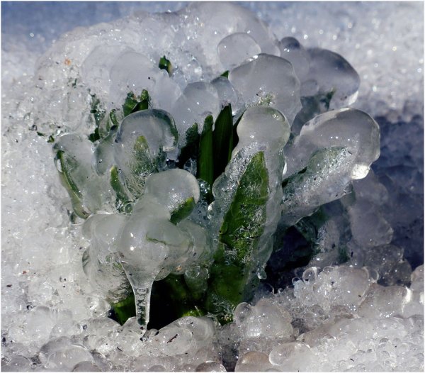 За полчаса до весны