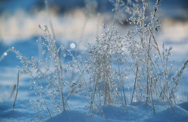 Весенние морозная прохлада