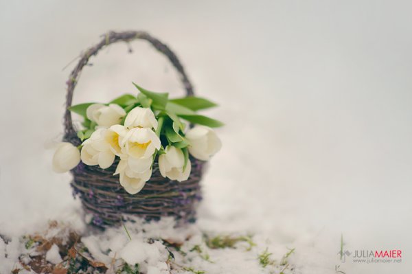 9 Дней до весны