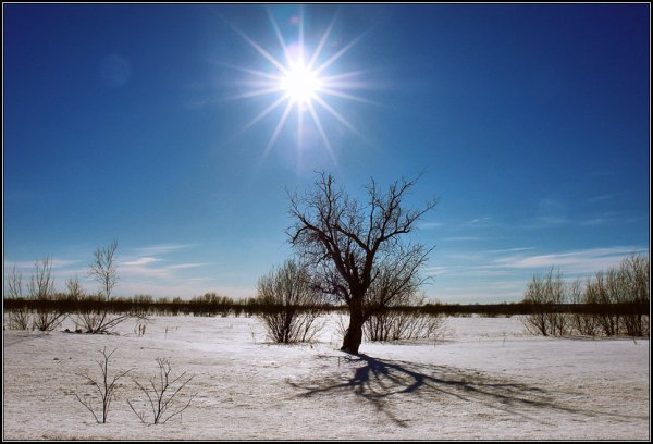 За полчаса до весны картинки