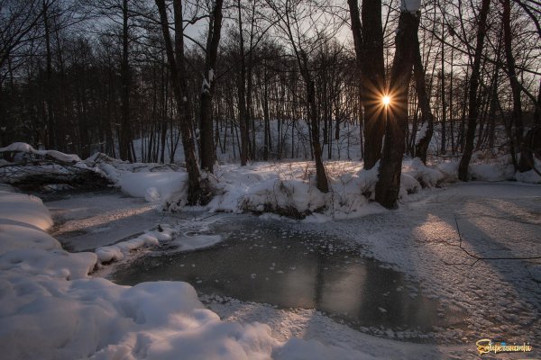 За полчаса до весны картинки