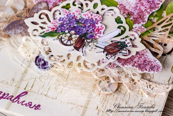 Полчаса до весны