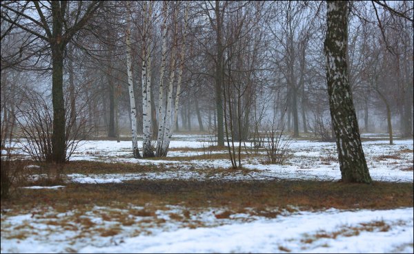 Открытки с подснежниками