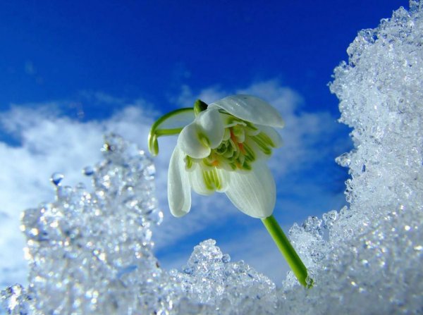 Доброе утро с первым днем весны