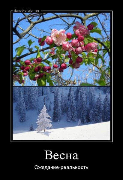 Весна юмор картинки