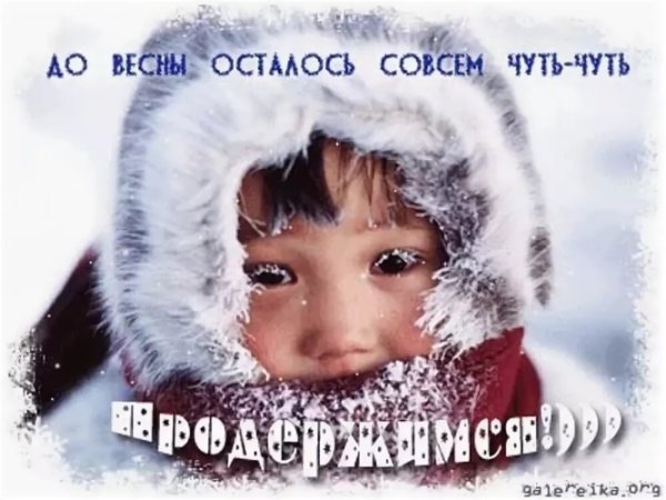 Приколы про зиму