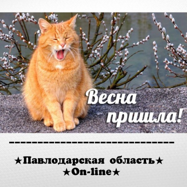 Весна надпись