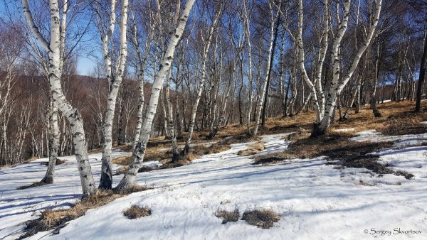 Весна деревня апрель проталины