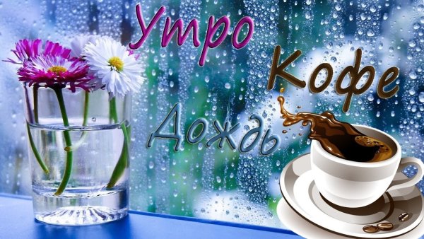 Доброе дождливое утро