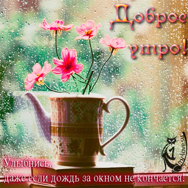 Доброе дождливое утро