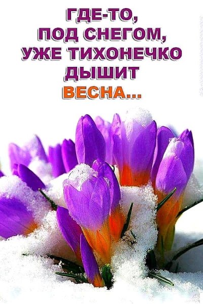 Приветствие весны