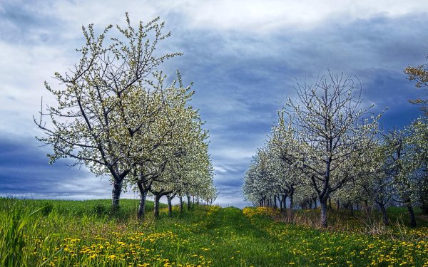 Времена года для детей