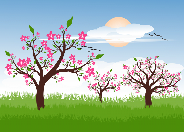 Весна рисунок карандашом