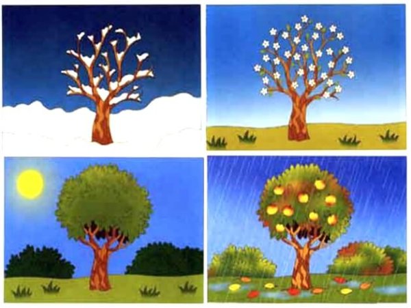Рисование Весна средняя группа