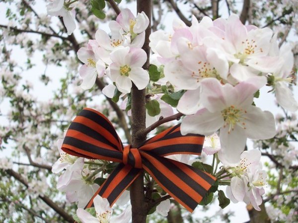 Открытка "9 мая"