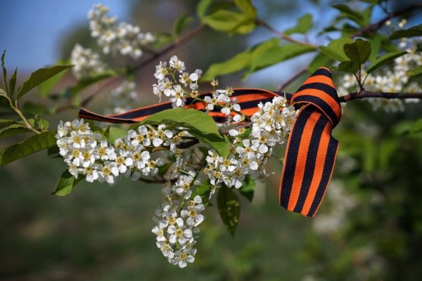 С 1 мая и днем Победы голубые тона