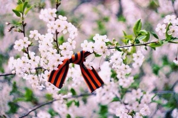 Весна Победы