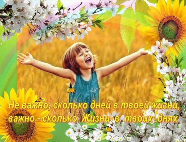 С радостью о жизни добрый день