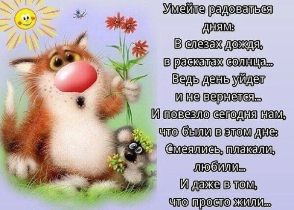 Счастье в простых вещах