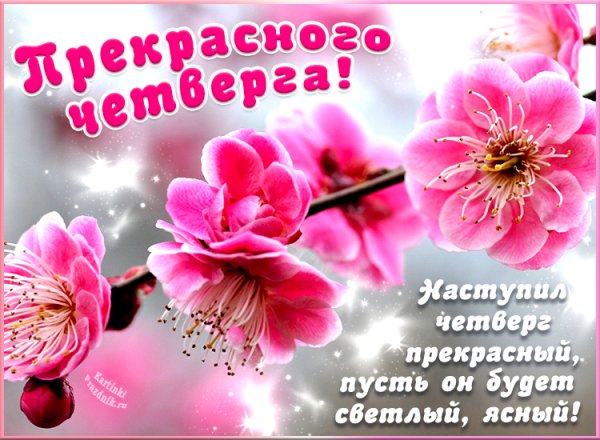 Четверг Весна картинки
