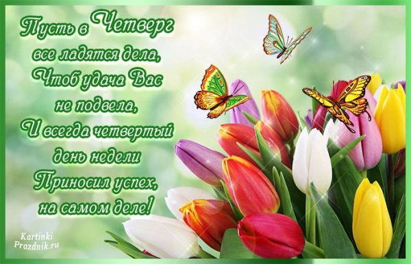 Доброе утро четверга