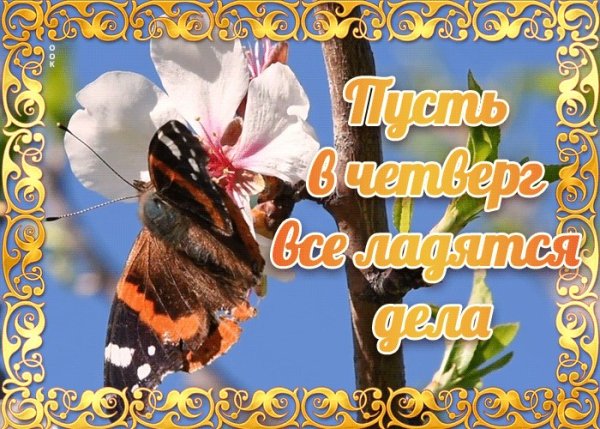 С первым летним четвергом