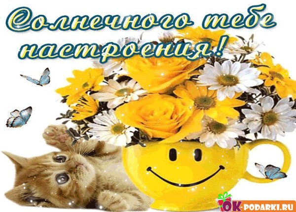 Солнечного дня и хорошего настроения