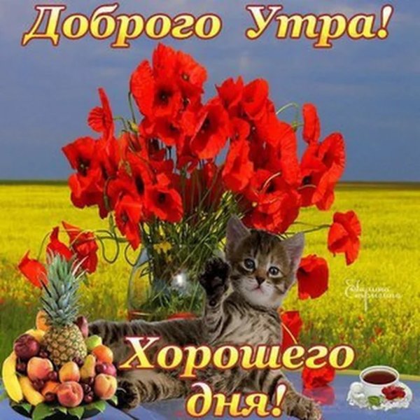 С добрым утречком и прекрасного денечка