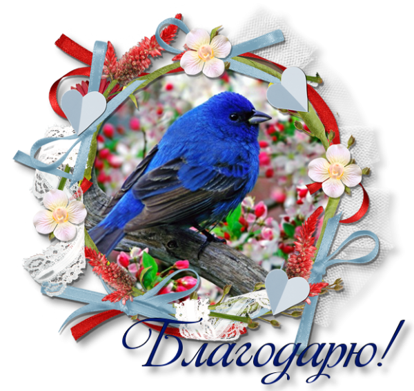 Чудесного весеннего четверга