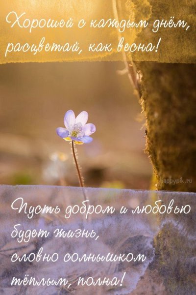 Доброе утро Весна цитаты