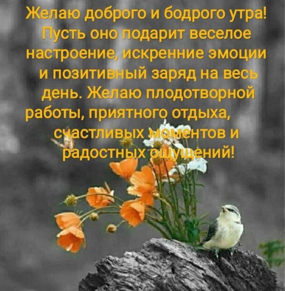 Мудрые пожелания с добрым утром