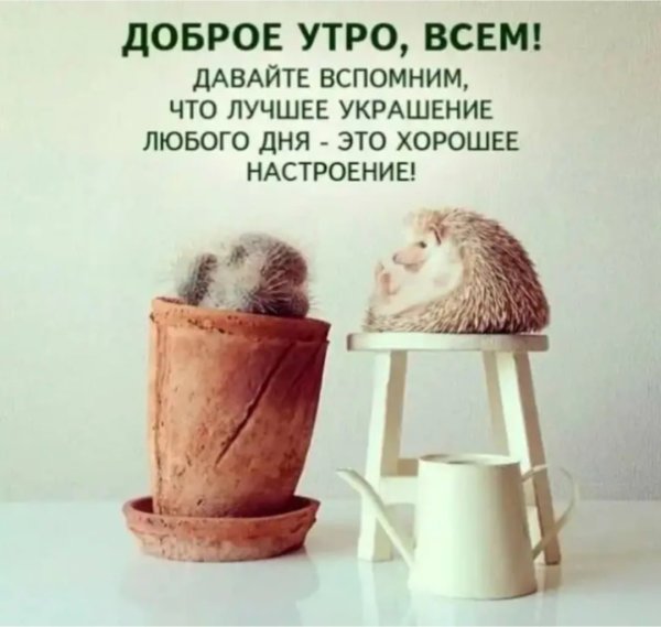 Волшебство утра