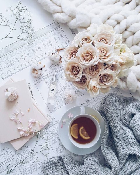 Зацвела Весна фон