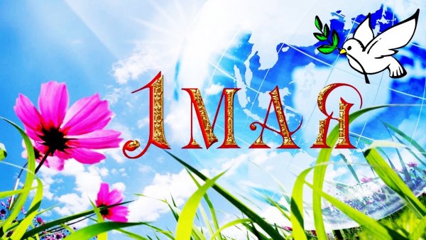 День весны и труда