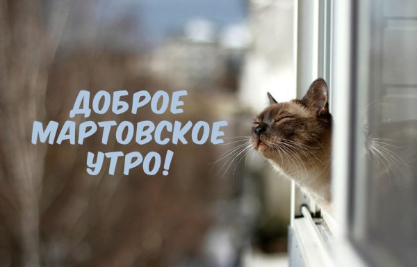 Запахло весной