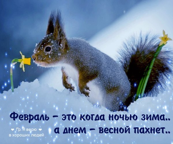 Доброе утро зима февраль