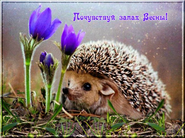 Приход весны