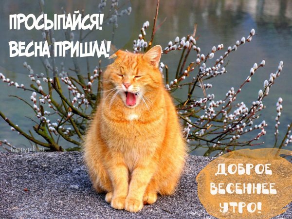 Пахнет весной