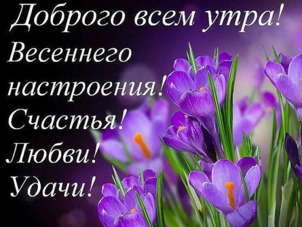 Открытка с добрым утром оттепель