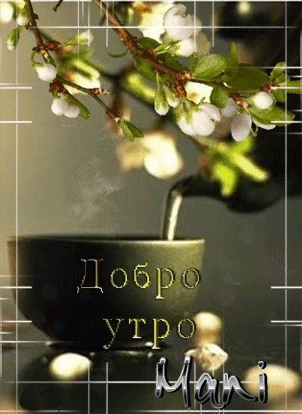 И снова новый день доброе утро