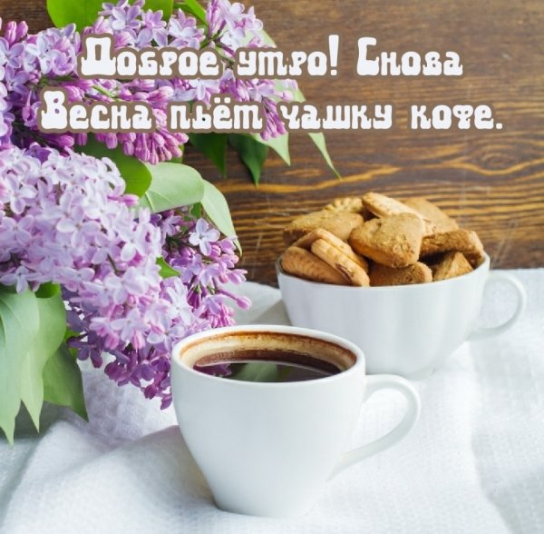 Высказывания о весне