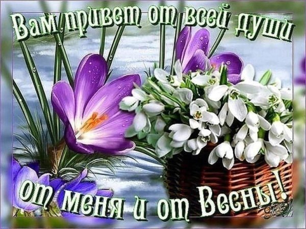 Доброе утро Весна пришла
