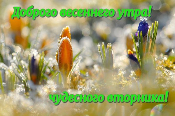 Цитаты про февраль