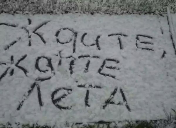 Подснежники прикол