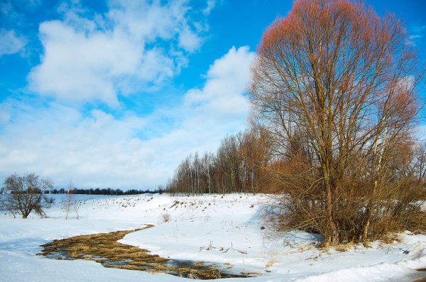 Весна в Кировской области