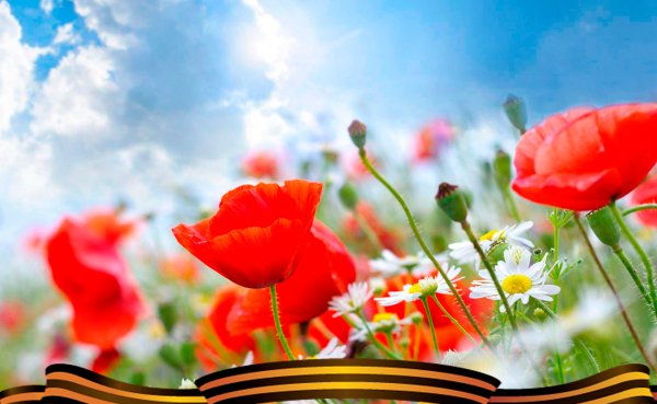 Весна май победа