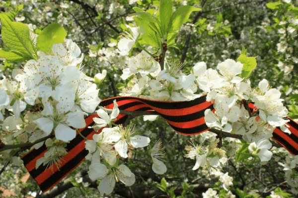 Весна Победы