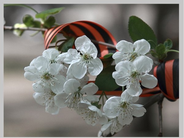 Великая победа