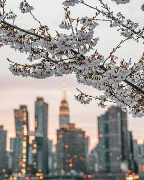 Весенний Нью Йорк